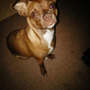 Meet your Posher, Kathy